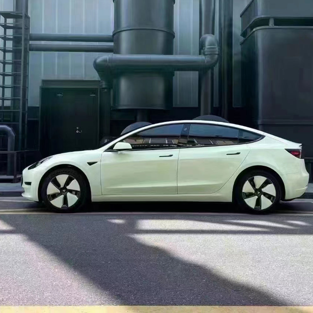 PET Macaron Avocado Green